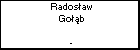 Radosaw Gob